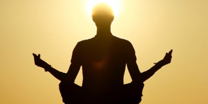 Pesta Yoga International